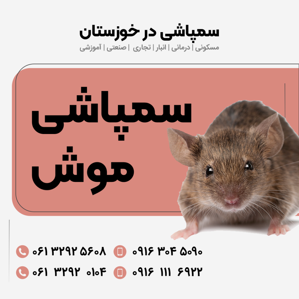 سمپاشی موش تضمینی خوزستان 09163045090 مسکونی، درمانی، انبار، تجاری، صنعتی، آموزشی